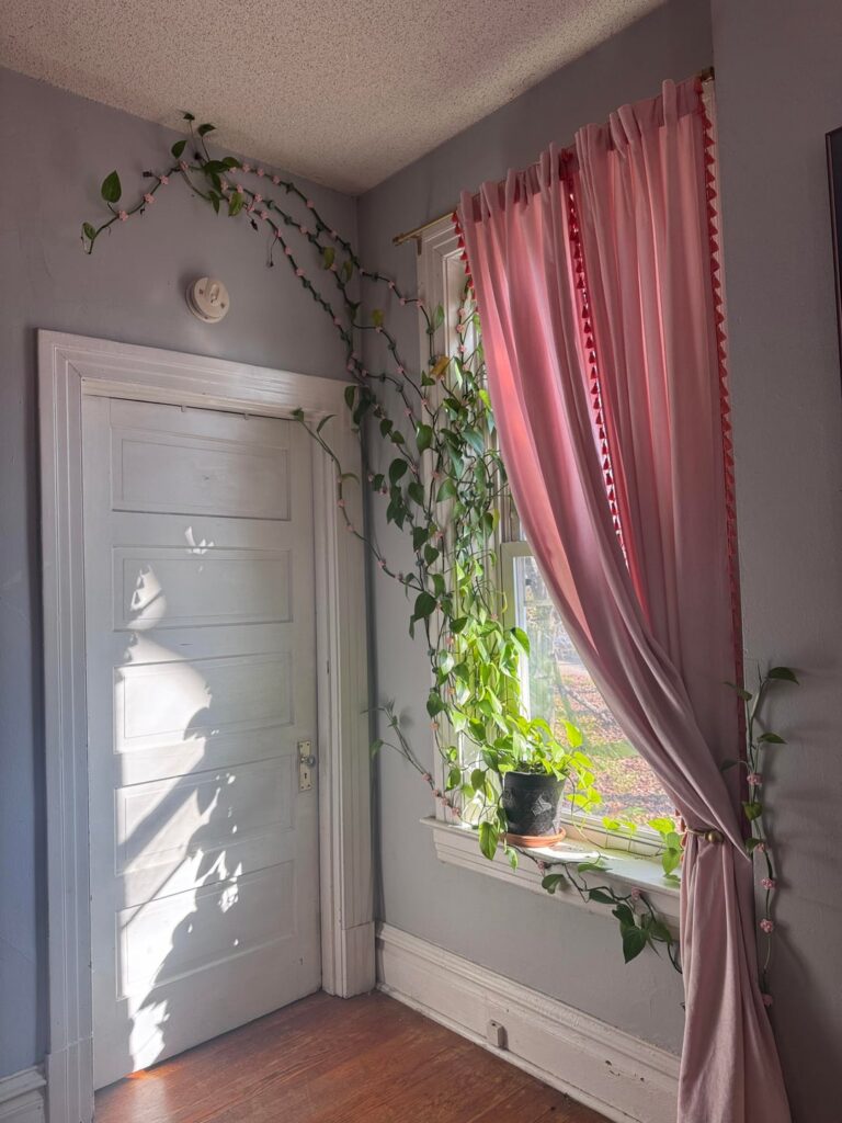 Help! Pothos no longer thriving and literally stuck to my wall