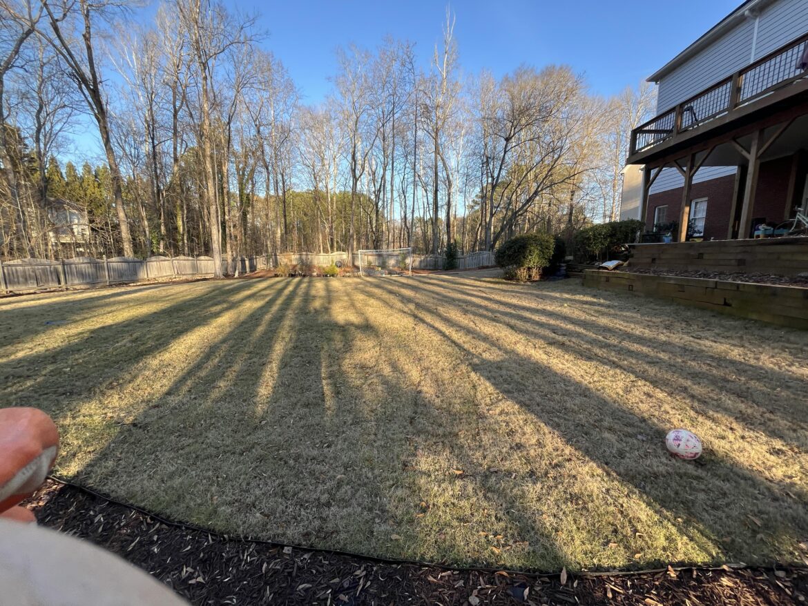 Enough sun for Bermuda in Atlanta? Enough sun for Bermuda in Atlanta?