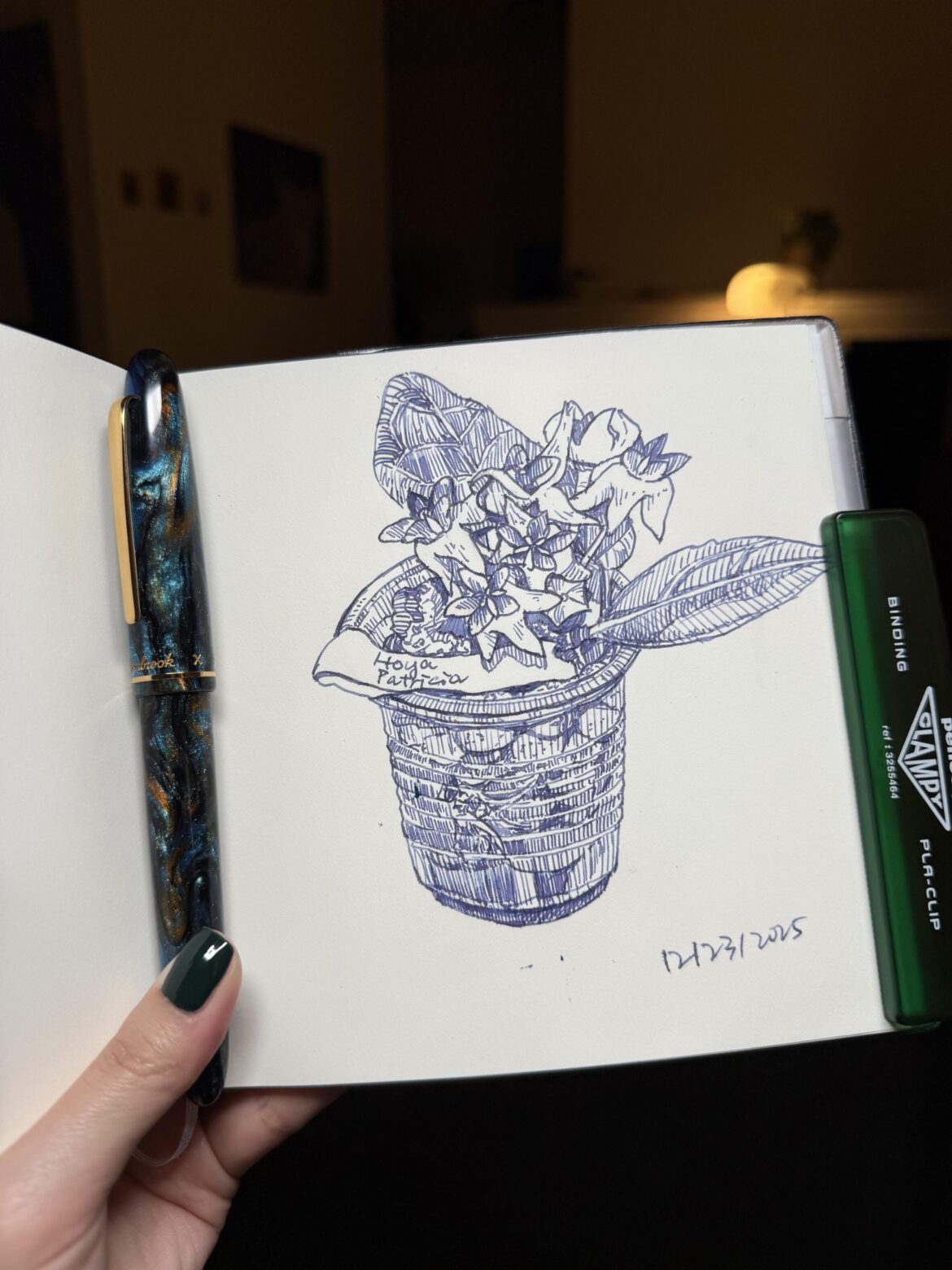 A Hoya I saw from here!