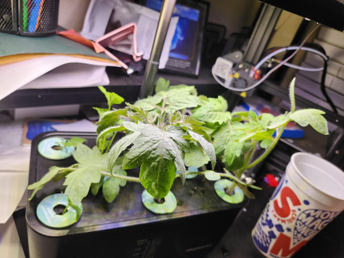 Desktop hydro newby seeking advice.