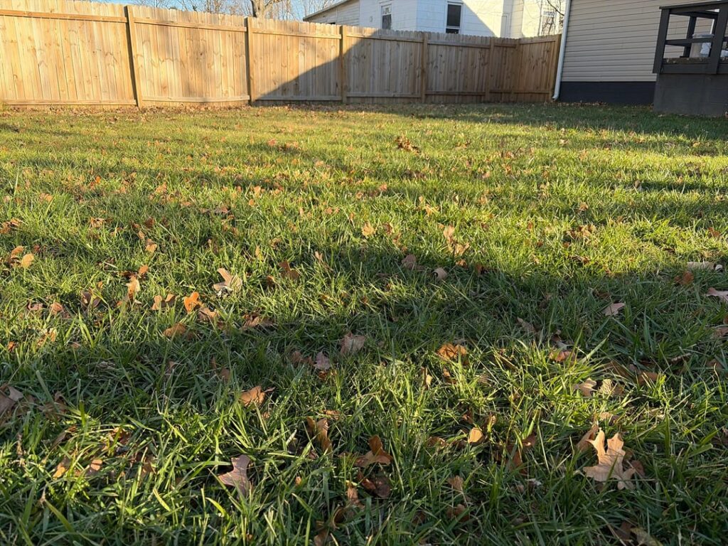 After overseeding in fall