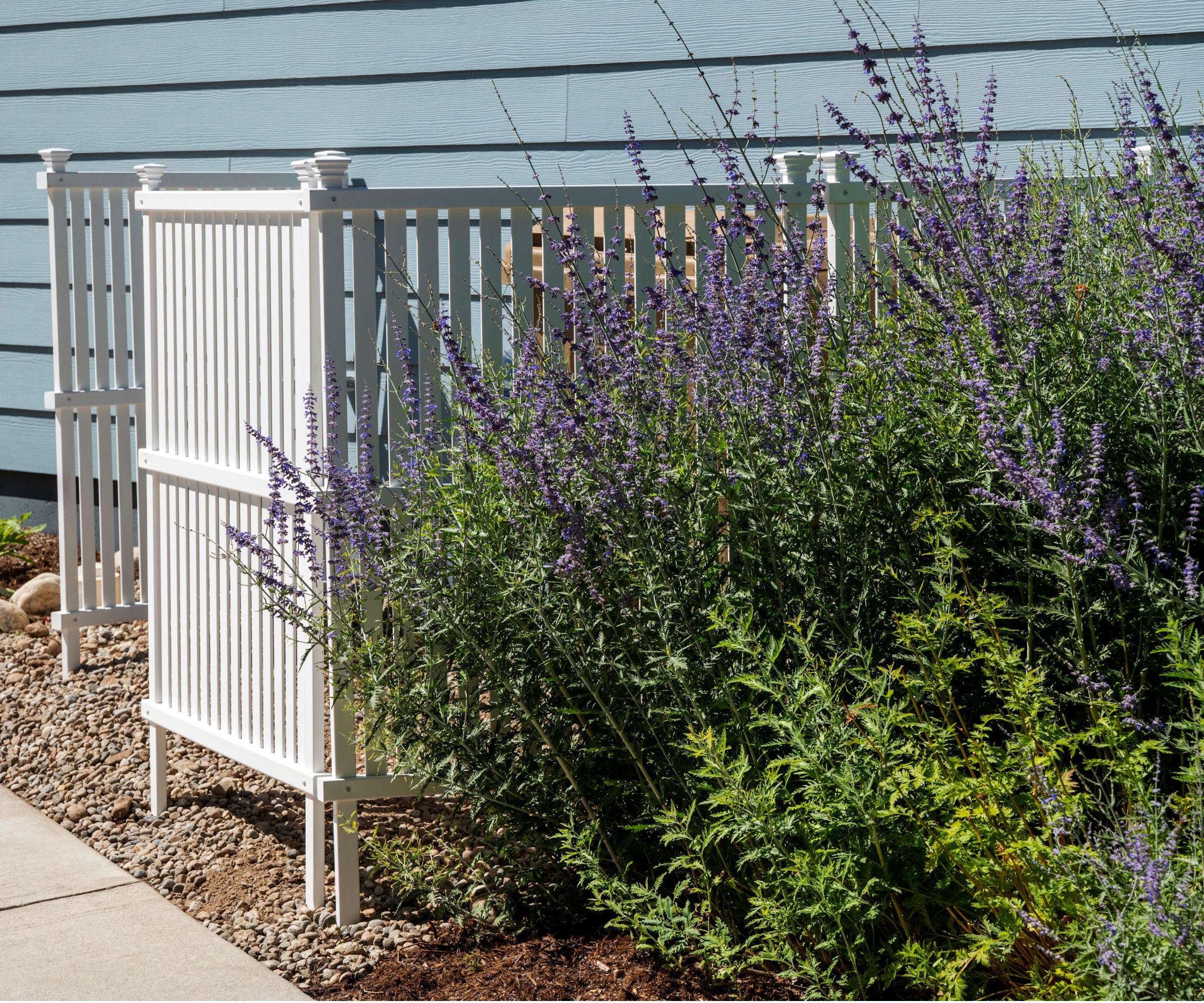 White fence concealing utility box and bins. Lavender planted in front