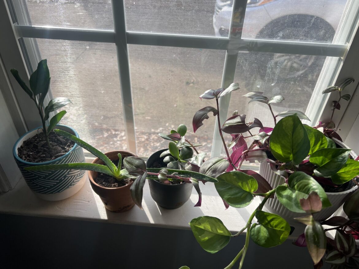 So proud of all my props