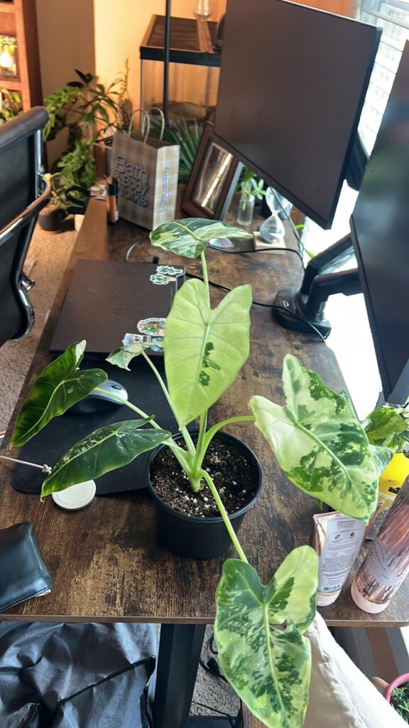 september vs december!!