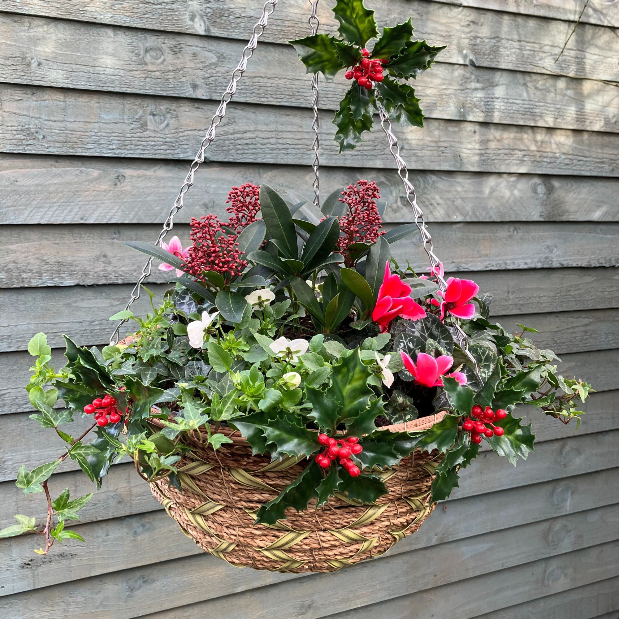 winter hanging basket