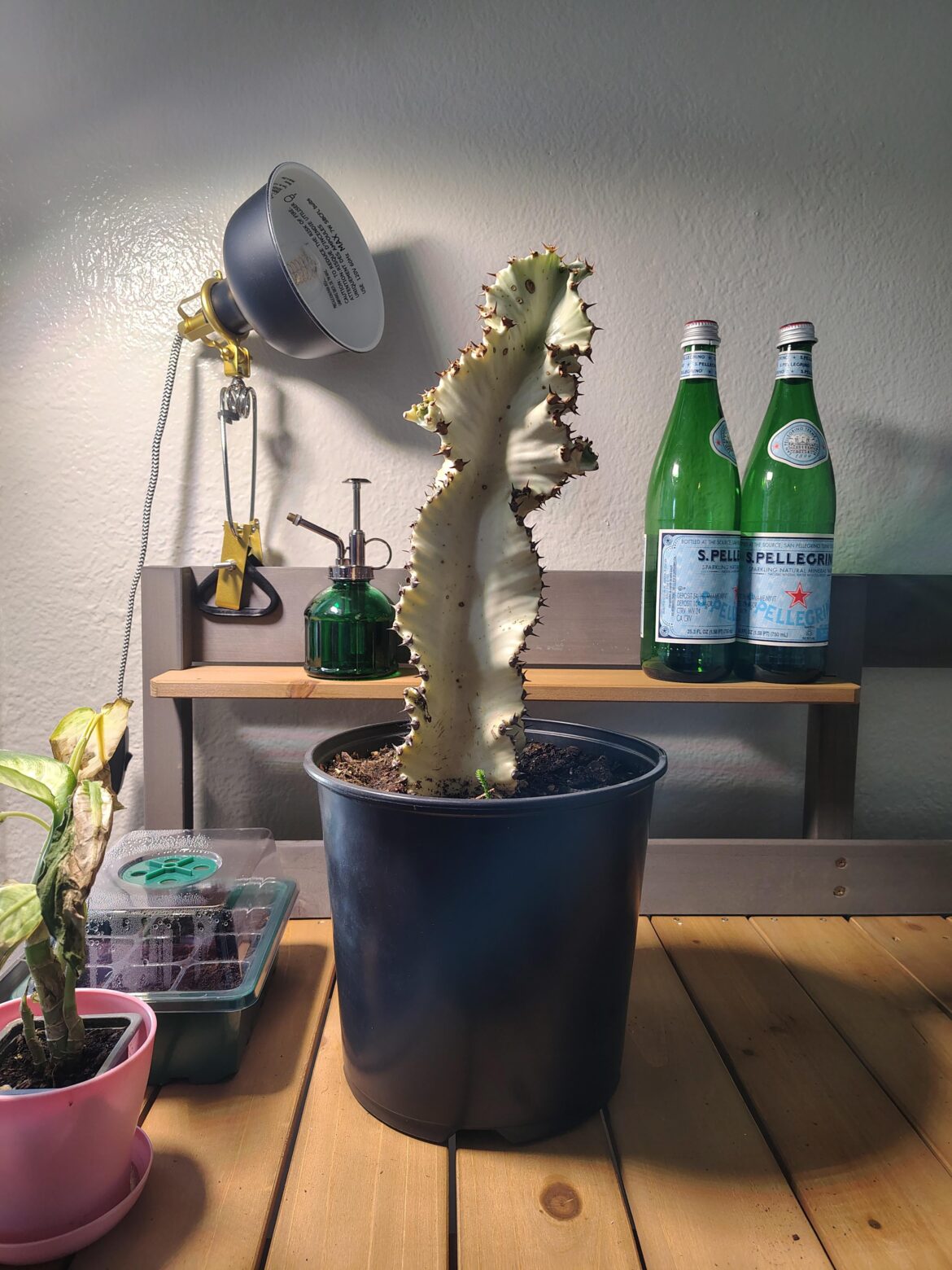 Straightening a little curve