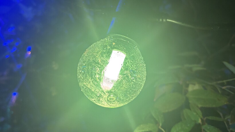 Philips Hue Festavia Globe Outdoor String Lights Review green light