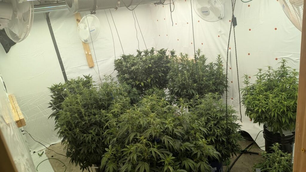 Who says autos can't get big?