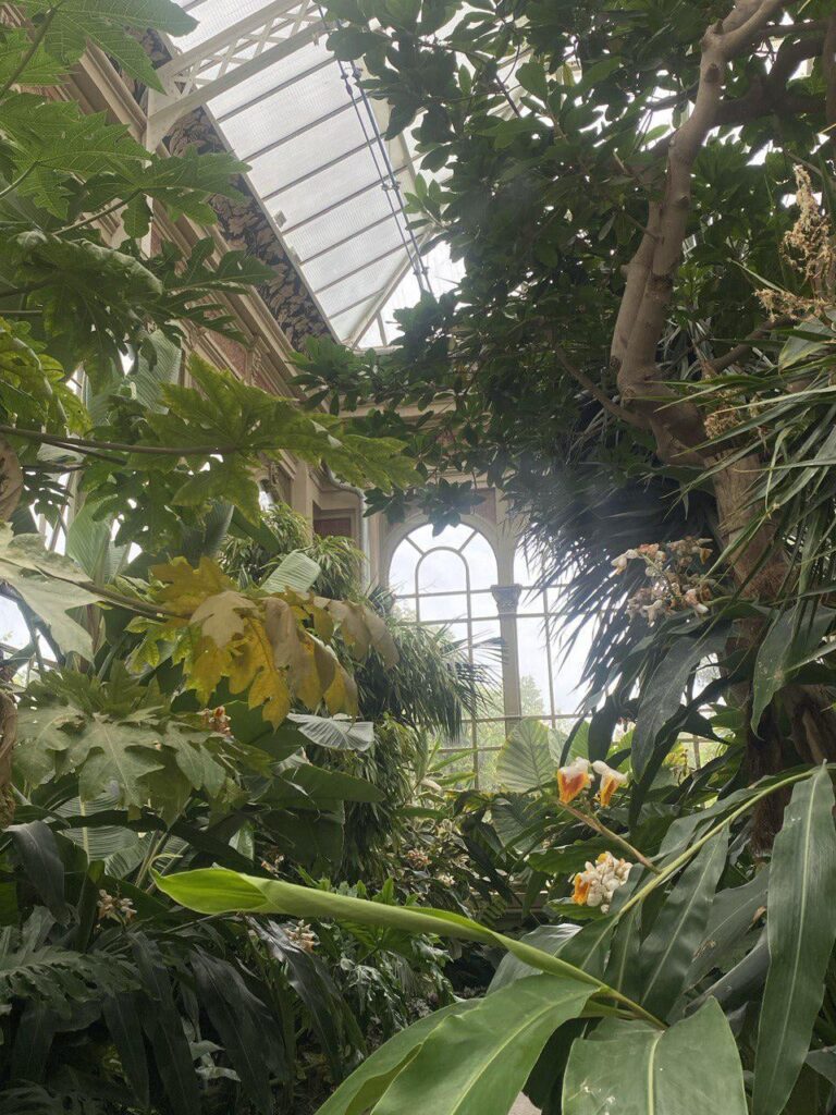 Greenhouse of the Ciutadella Park, Barcelona