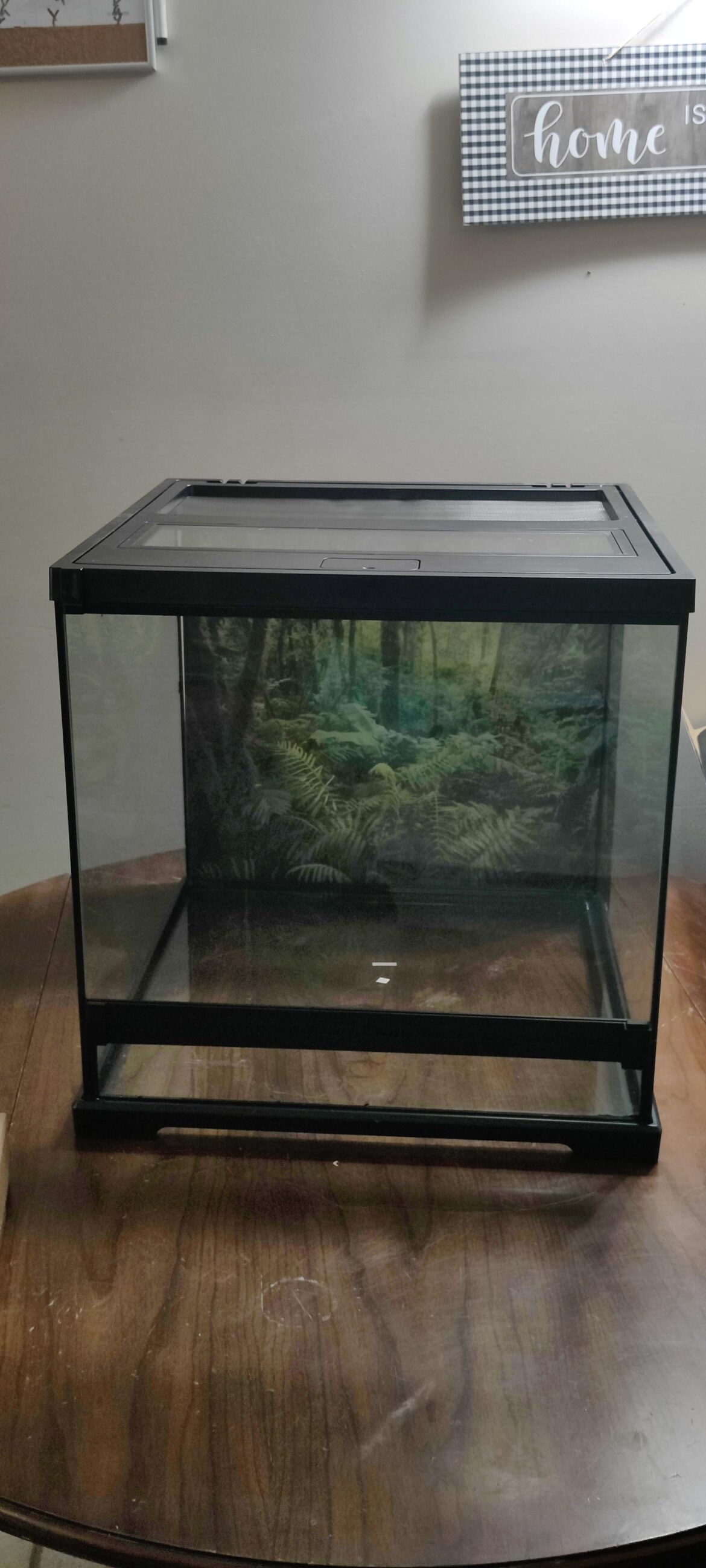 How do you cover up the visible foam from outside when you make a “background” on all 3 sides? How do you cover up the visible foam from outside when you make a "background" on all 3 sides?