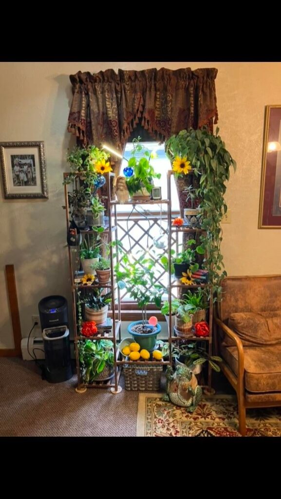 Nana’s got a thing for plants! Between the furnace being on, and it being so dark here in PA. I’m trying to keep them alive!