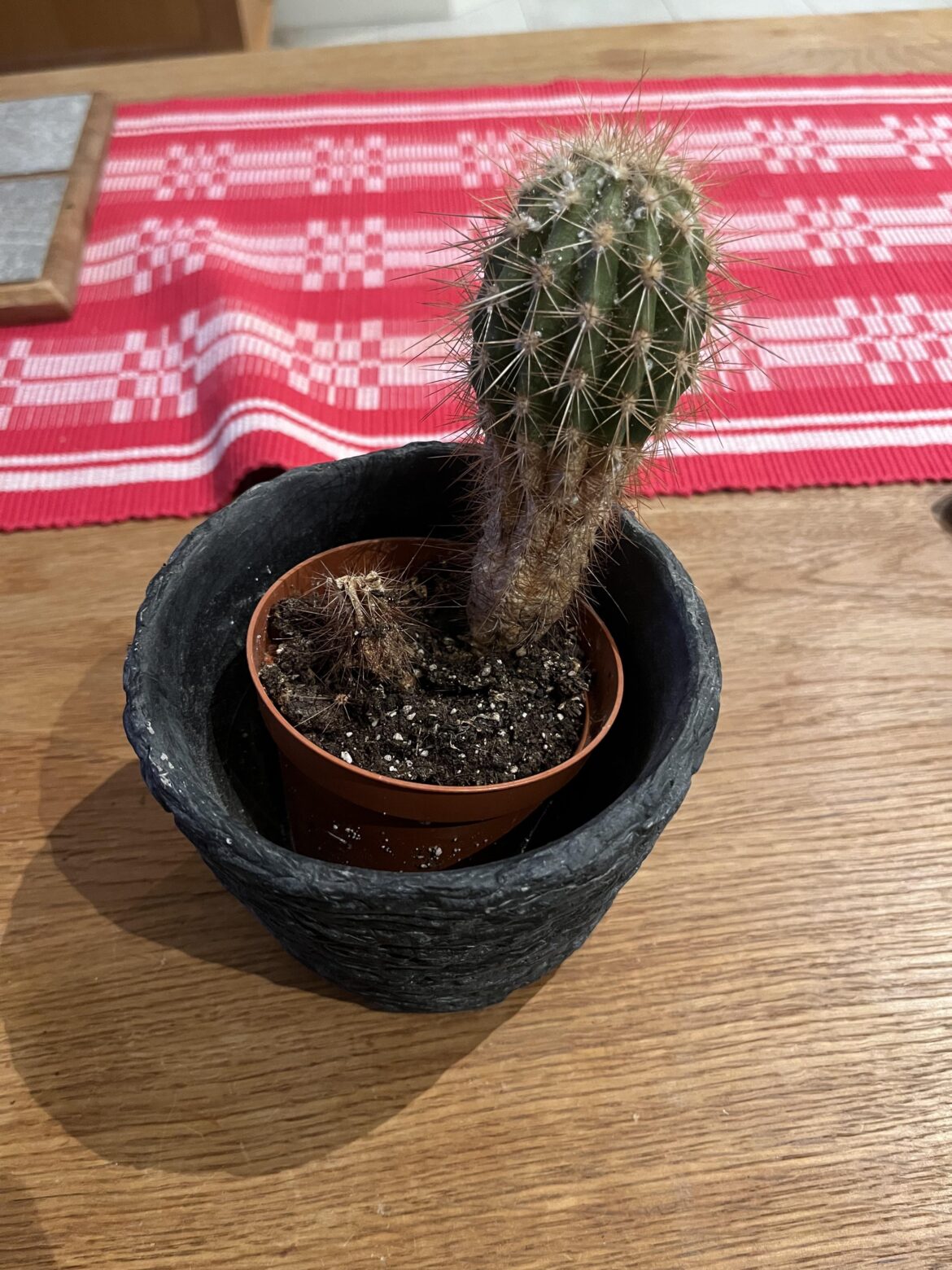 Could this be saved via propagation?