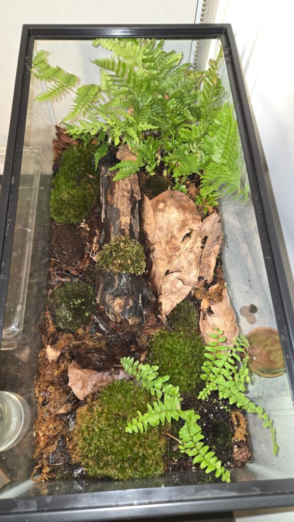 What else can I add to this 20 gallon long?