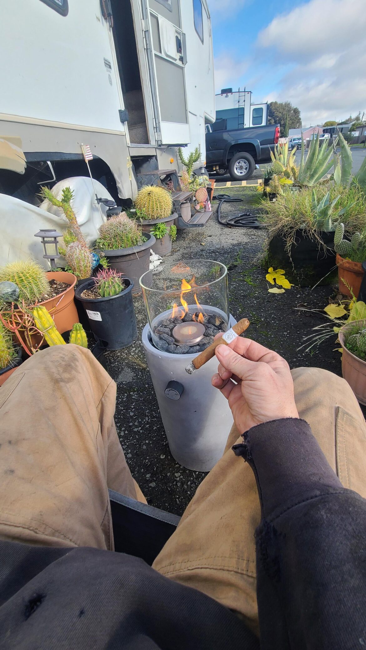 Rate my poverty cactus garden