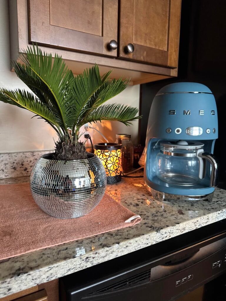 This Christmas, my lady asked for her first plant. I’m in love with it, and wanted to share it with everyone here :)