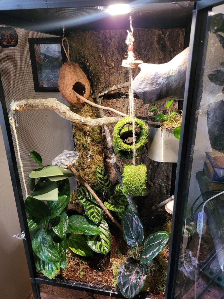 New vivarium!