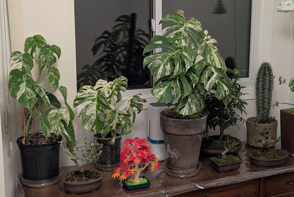 When in doubt add lego for a pop of color to your plant stand! 😅