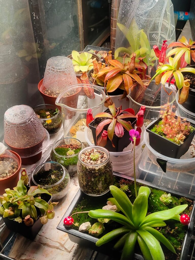 My collection in 4 months💖