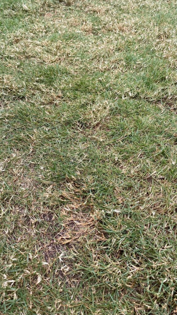 What am I doing wrong?