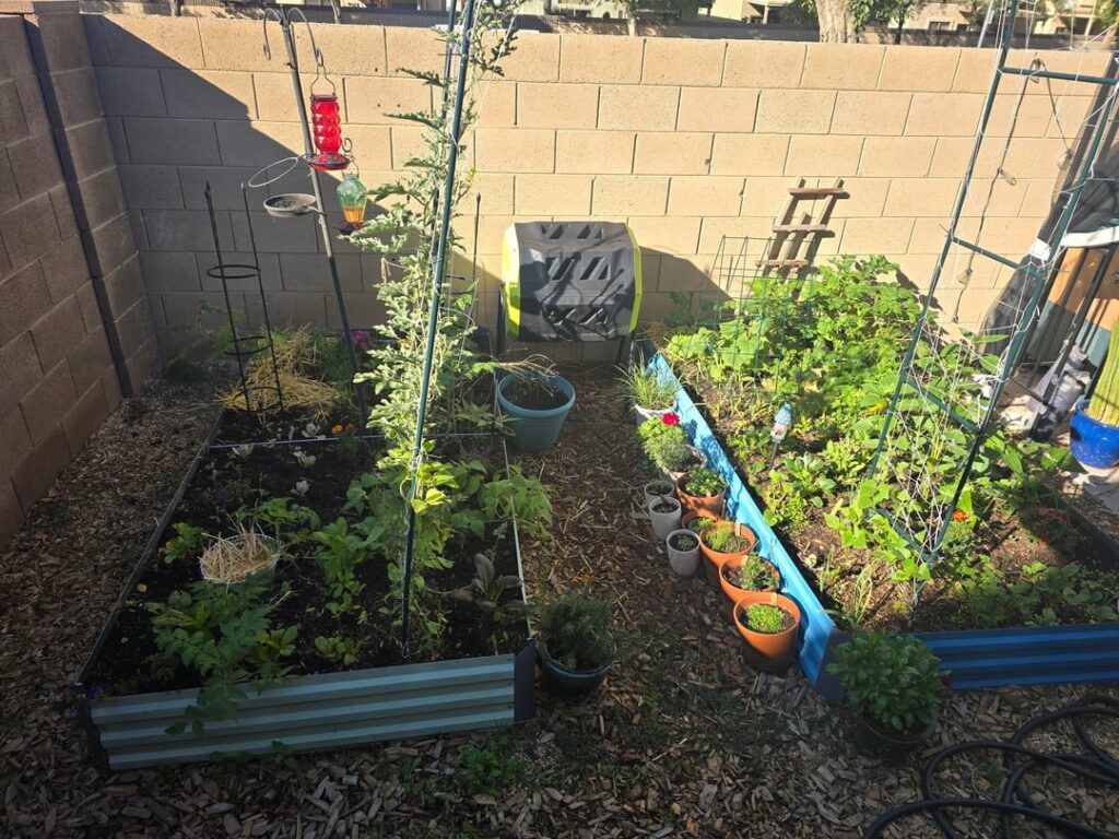 A months progress. A months progress.