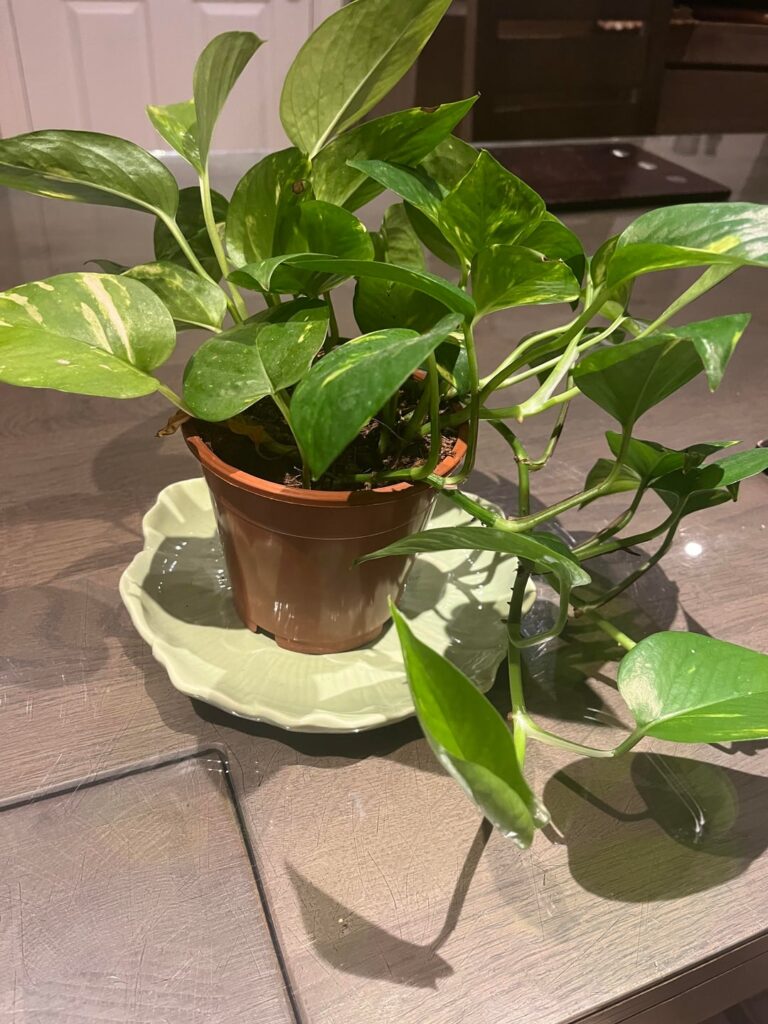 Help!! What am I doing wrong? Help!! What am I doing wrong?