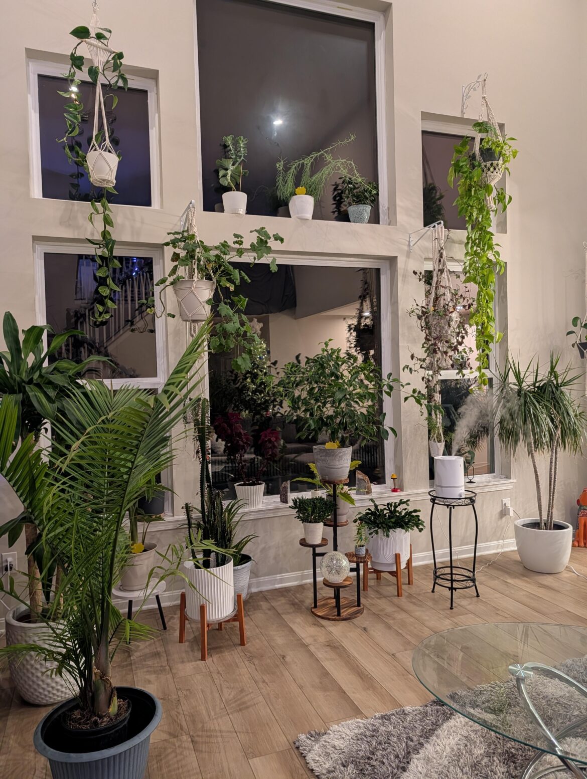 Beyond proud of my collection. Any suggestions on what and where to put the next baby?