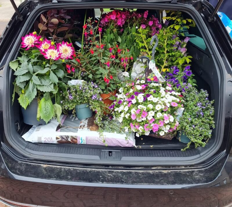 One gardener shared their incredible lawn transformation, transitioning from a barren stone monoculture to a thriving garden.