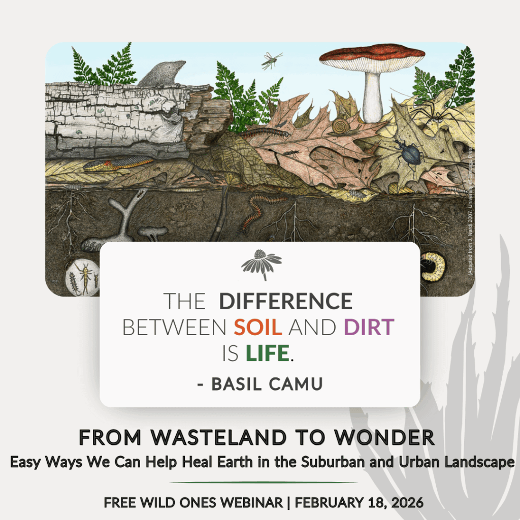 “The difference between soil and dirt is life.”