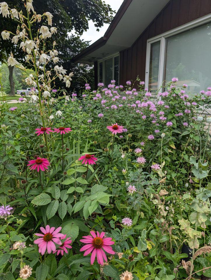 Mitchell Egbert / Getty Images