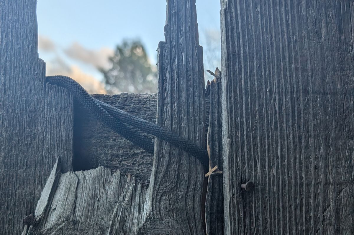tottenham garden fence with dog lead
