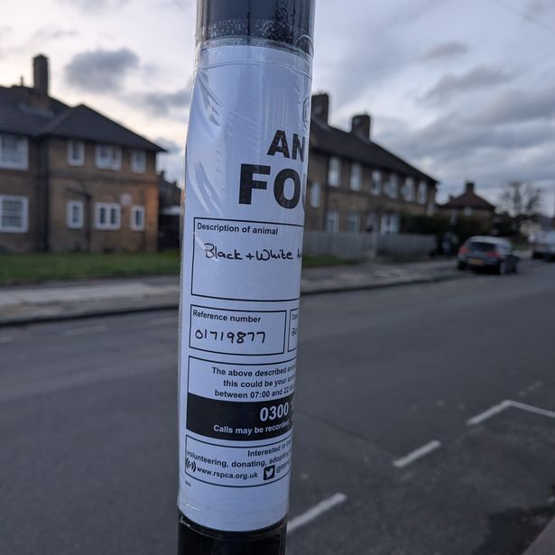 Tottenham found posters