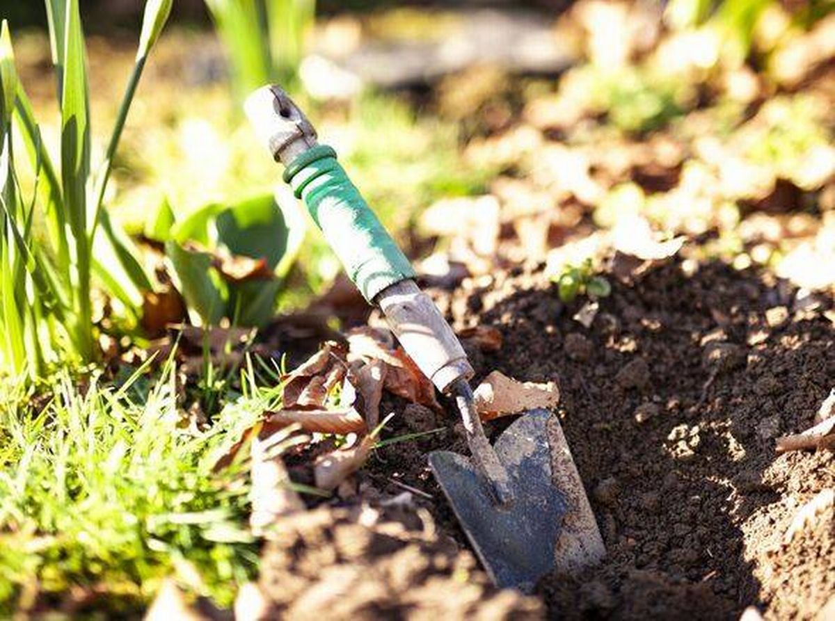 A Small Spade in Soil in a Garden