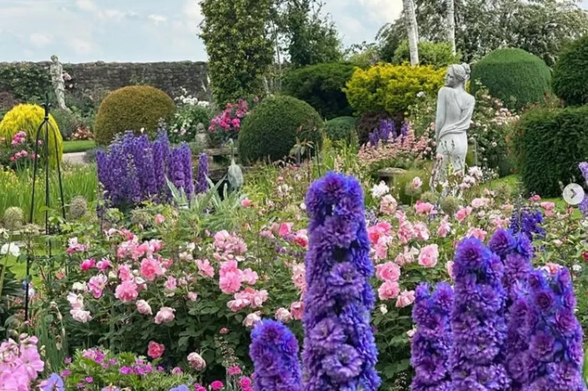 Flowers and plants pictured at Thornton Hall Gardens, in County Durham.