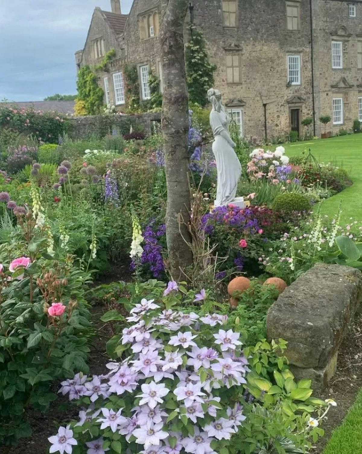 Flowers at Thornton Hall Gardens, in County Durham