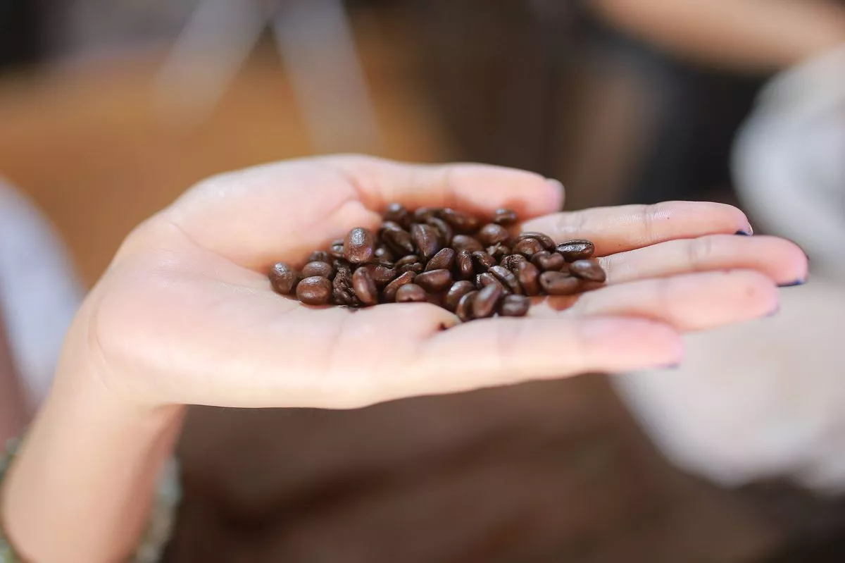 Coffee