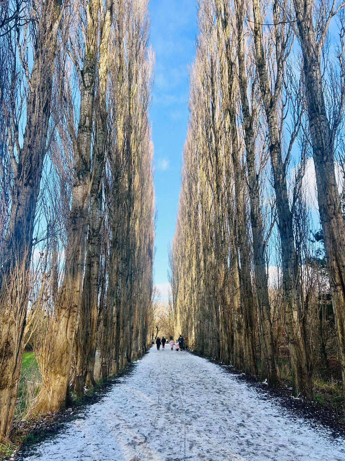 Fletcher Moss Park & Parsonage Gardens, Didsbury
