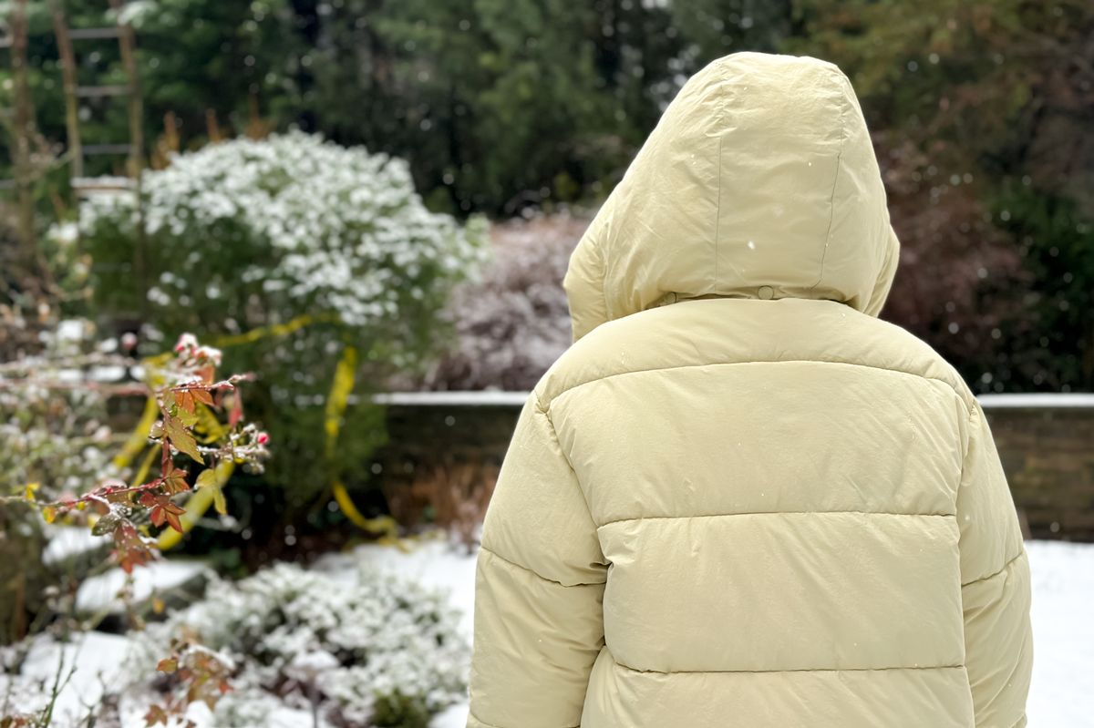 winter time in the garden