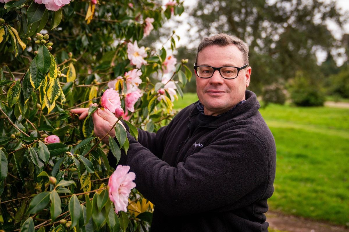 An individual in a black jacket and glasses stands next to a bush with pink flowers, smiling and interacting with the plant. The background features a green grassy area with trees and shrubs.