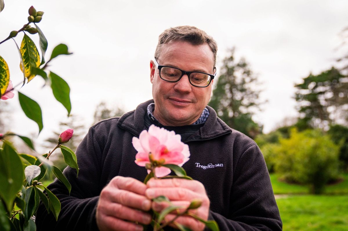 An individual, dressed in a black jacket and wearing glasses, is holding a pink flower in a garden setting, surrounded by lush greenery and trees under a cloudy sky.