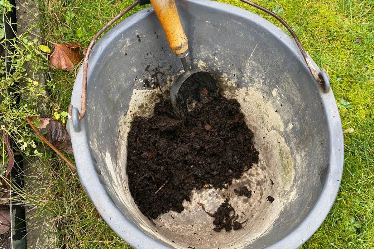 Bucket with compost