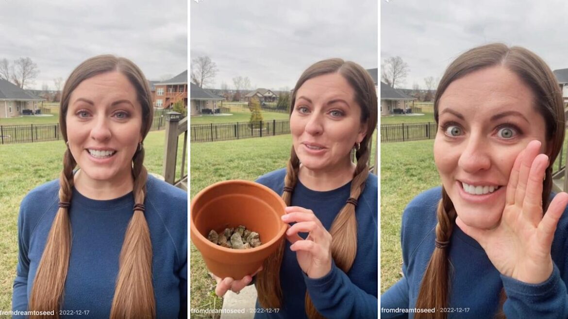 Gardener warns against common advice for potted plants: ‘Don’t do this’ Gardener warns against common advice for potted plants: 'Don't do this'
