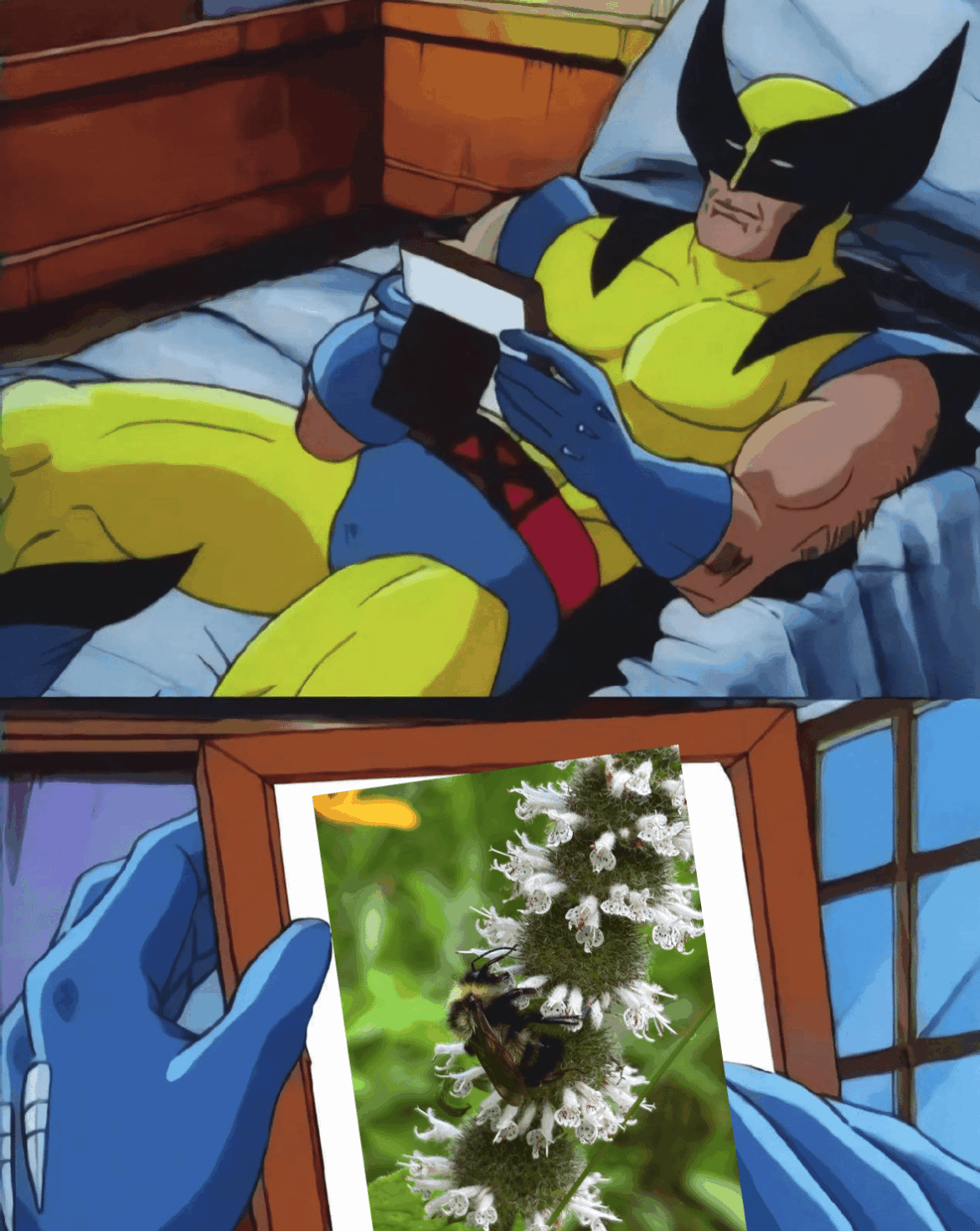 Me, a Minnesotan in January, seeing posts from the Southern US