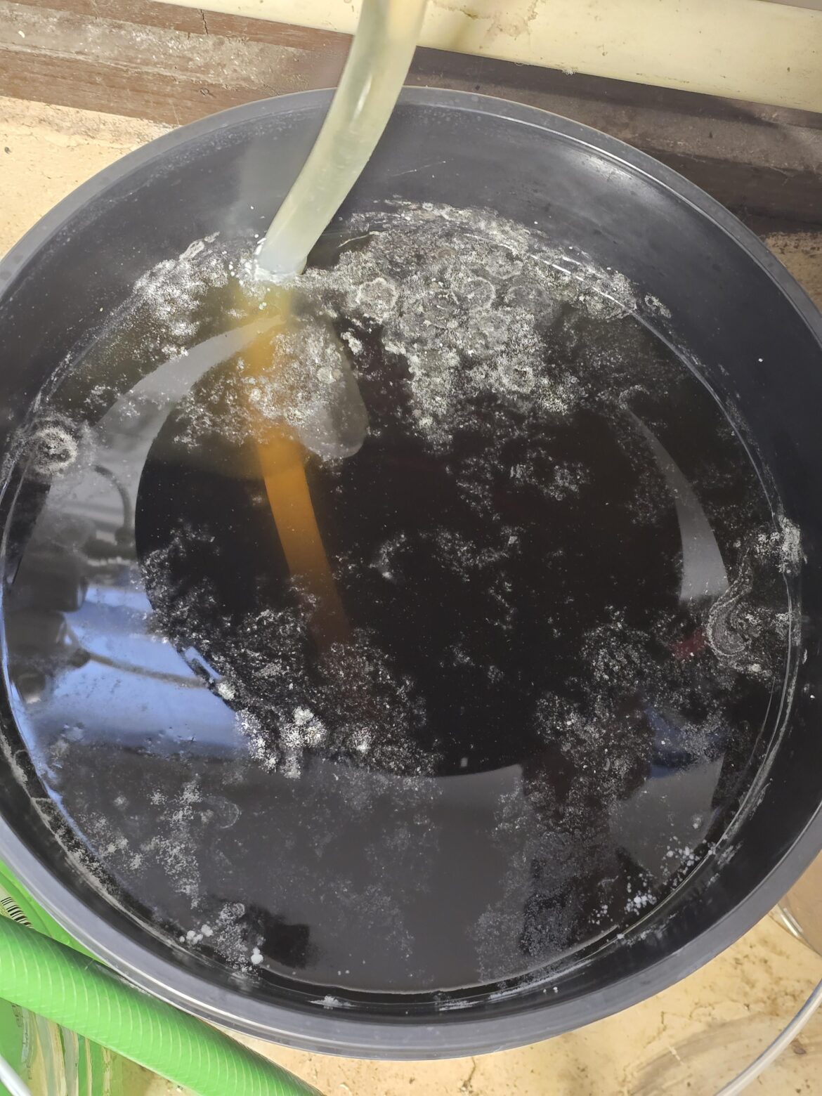 Mold on fertilizer concentrate stock?