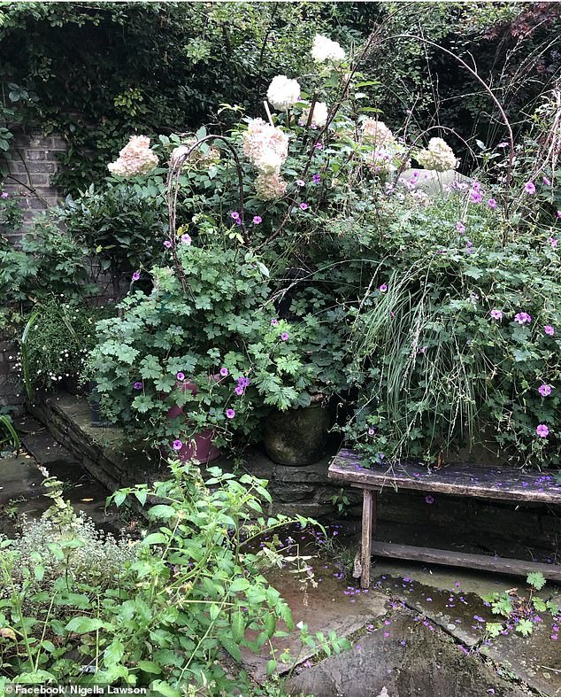 Despite feeling 'magical', interiors expert Jordana said Nigella's garden appears slightly 'chaotic'
