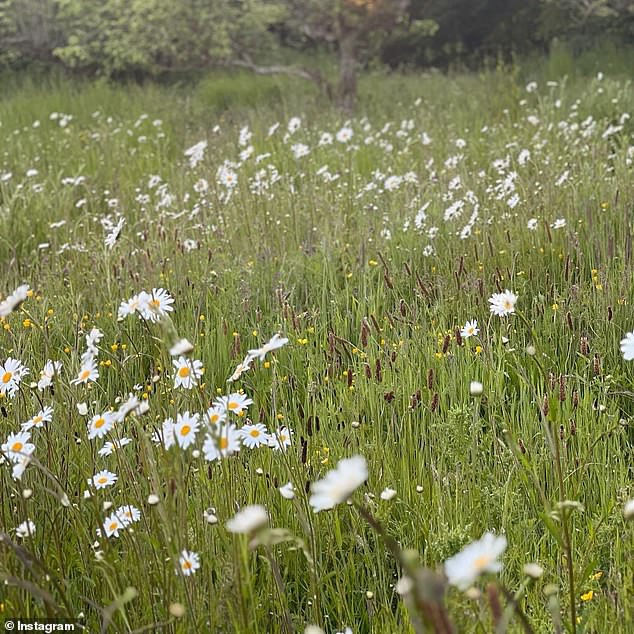 Jordana added that one side of model's garden looks slightly overgrown - contrasting its other elements