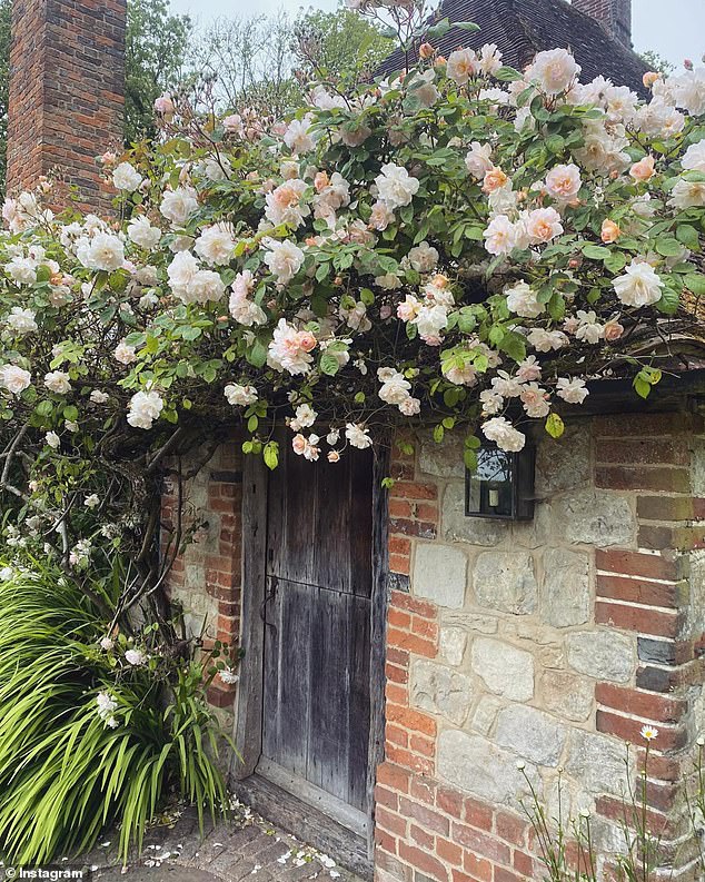 Despite admiring Brook's garden, the interiors expert did question why the garden door was so small