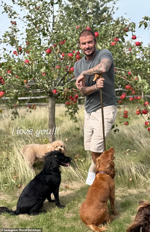 David and Victoria Beckham impressed the interiors expert with their garden, who called it 'pristine'