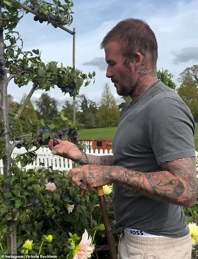 Former Spice Girl Victoria Beckham has shared snippets of her husband's gardening attempts on Instagram