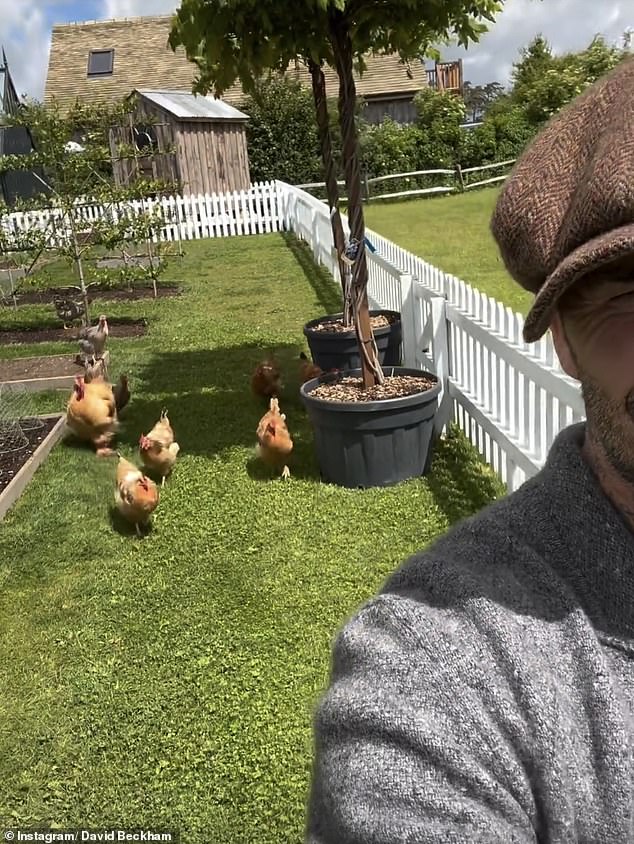 In addition to growing a range of fruits and vegetables, the former professional footballer also has chickens in his garden