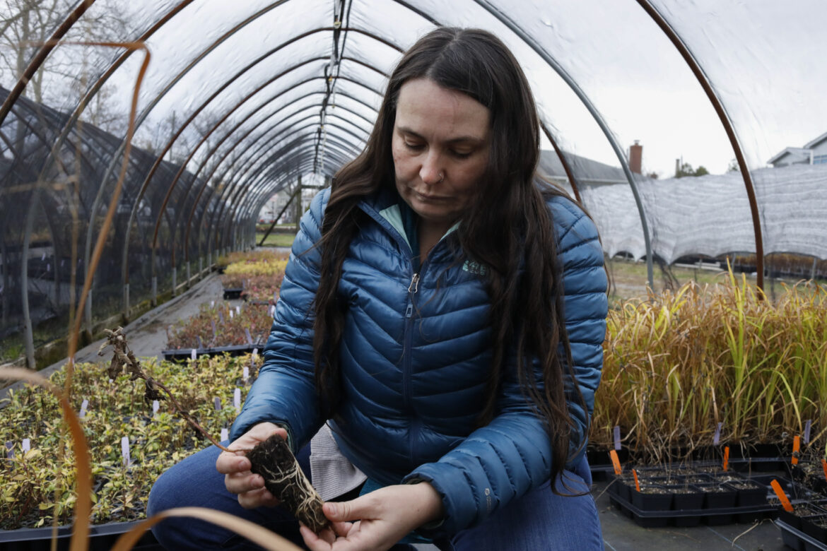 Meet the Parks Seed Seekers Who Cultivate Spring in the Cold 